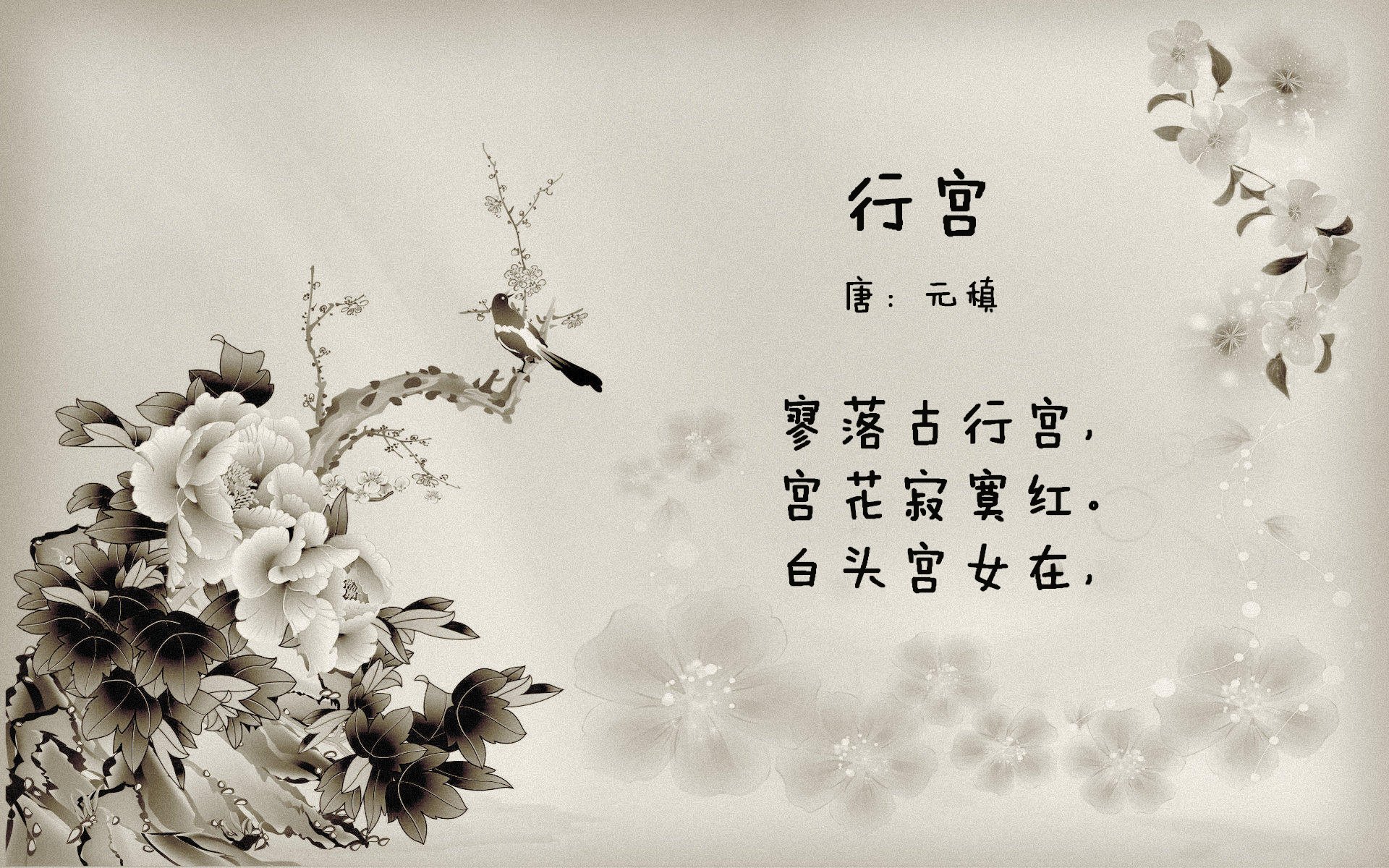 新传奇诞生，跨国表演赛范弗利特轰垮广东防线，小个子巨人用实力粉碎所有质疑