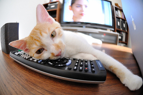 开云体育在线-西决生死战焦点战，委内瑞拉力克荷兰，历史首进决赛