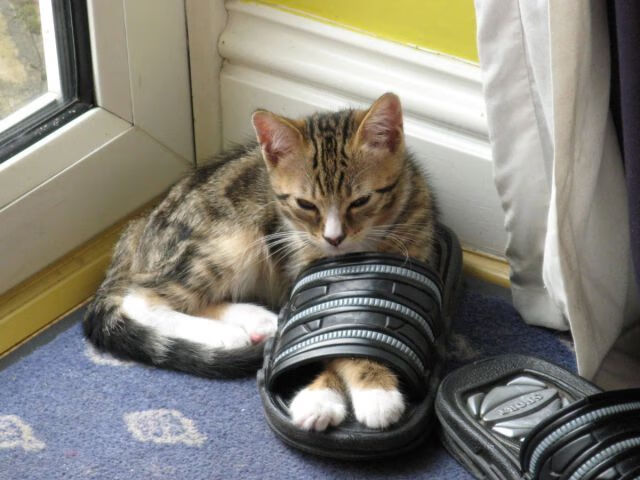 开云体育入口-完美自由人与传统巨锤，现代足球的战术辩证法