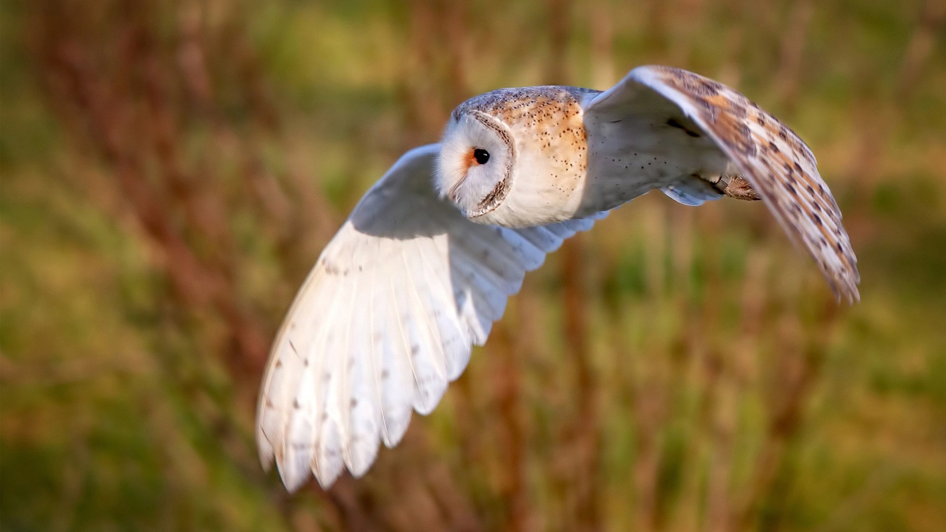 独行者的回响，利拉德在费城喧嚣中雕刻答案