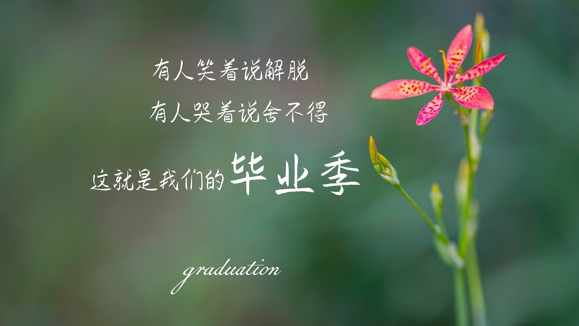 篮球欧冠诞生记,黄蜂加时鏖战,76人如何见证一项全新历史?