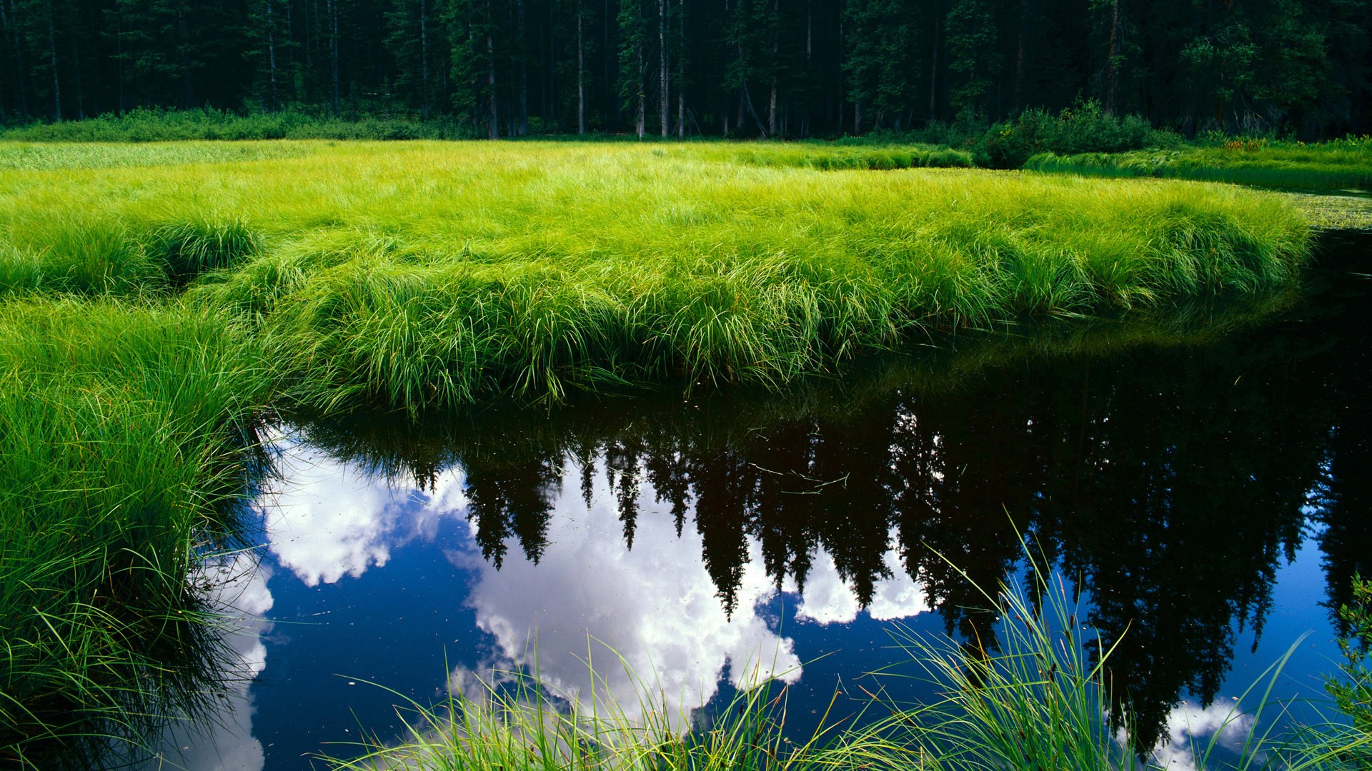 开云体育入口-跨界裁判，当NBA总决赛遇见加纳粉碎曼联的绿茵魔法