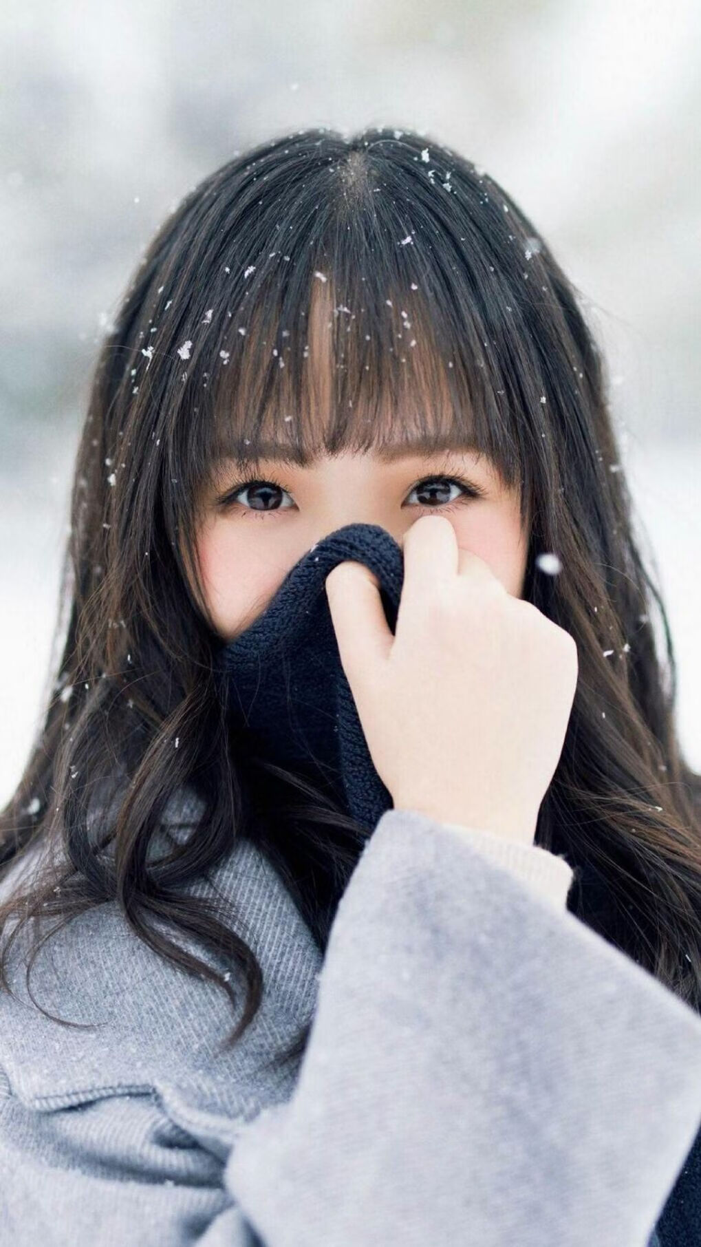 双星闪耀,英格兰足球绝杀与伊布篮球关键战的传奇时刻