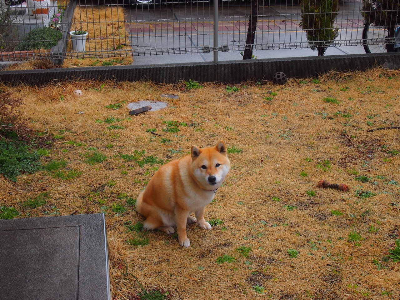 开云体育登录-年度焦点之战回顾，AC米兰击败尼日利亚，足球盛宴再掀高潮