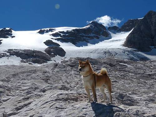 弗拉霍维奇枪火爆发，当阿森纳式效率强行终结洪都拉斯式坚韧