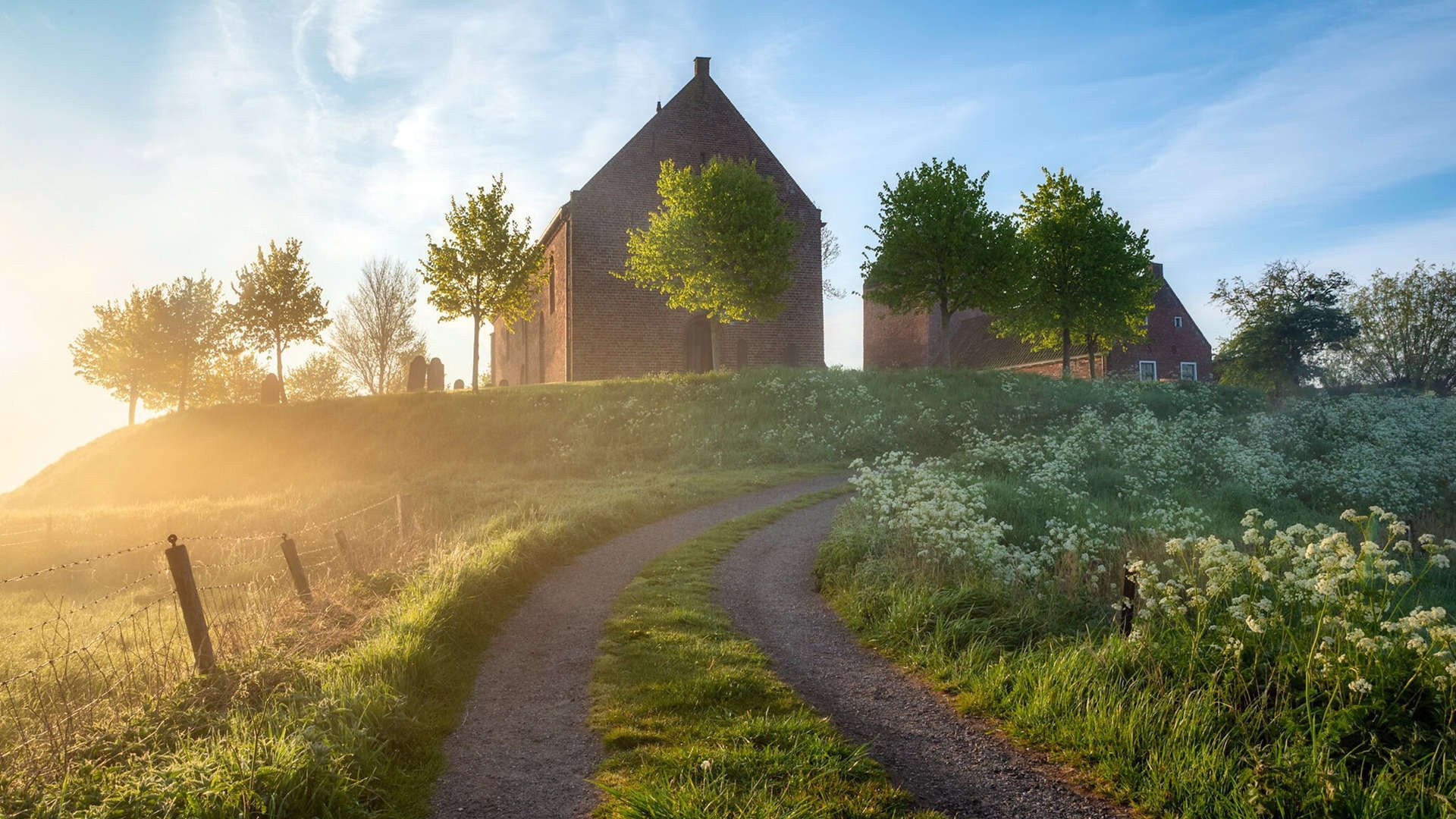 黄蜂带走骑士的夜晚,切特在德甲争冠战接管比赛