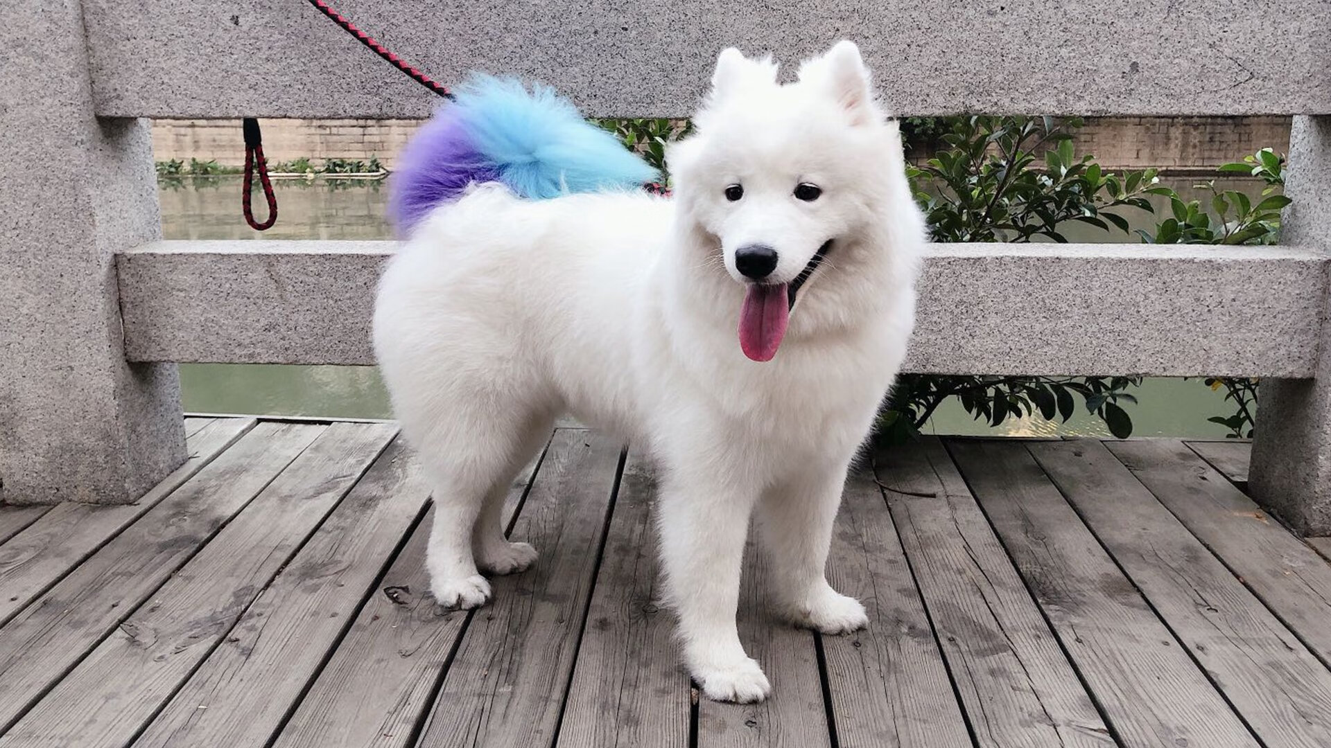 开云体育登录-逆袭的指挥家，当哈利伯顿用21次助攻撕碎雄鹿防线