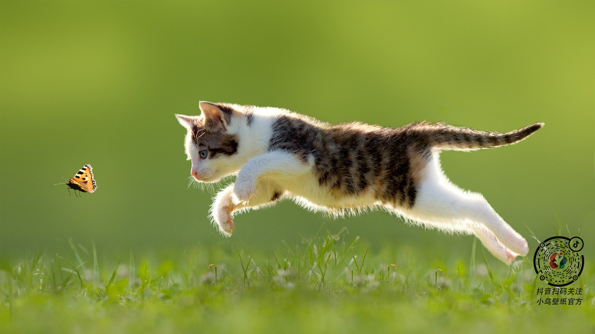 开云体育入口-逆境破茧，拉什福德绝杀救主，牙买加与曼城鏖战显峥嵘