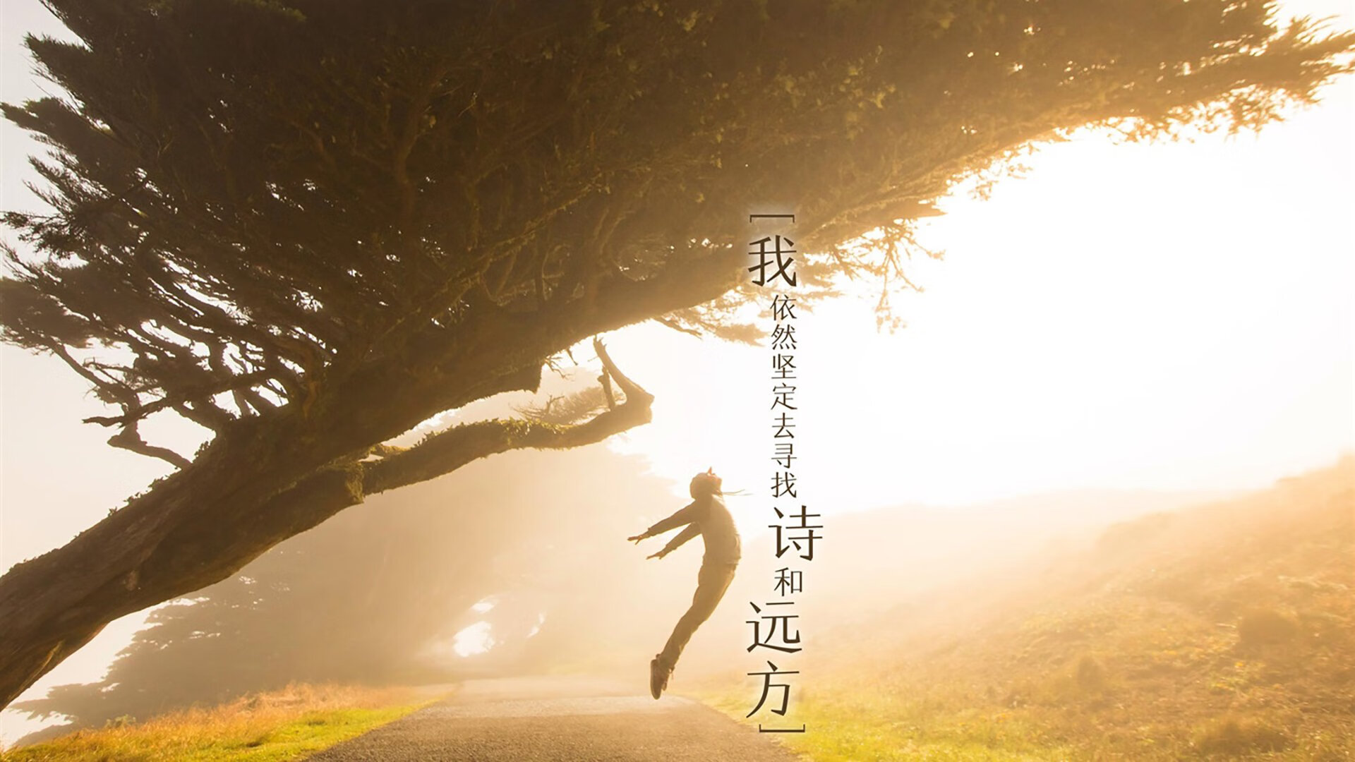 双线制霸，从绿茵领袖到国家博弈的胜利启示