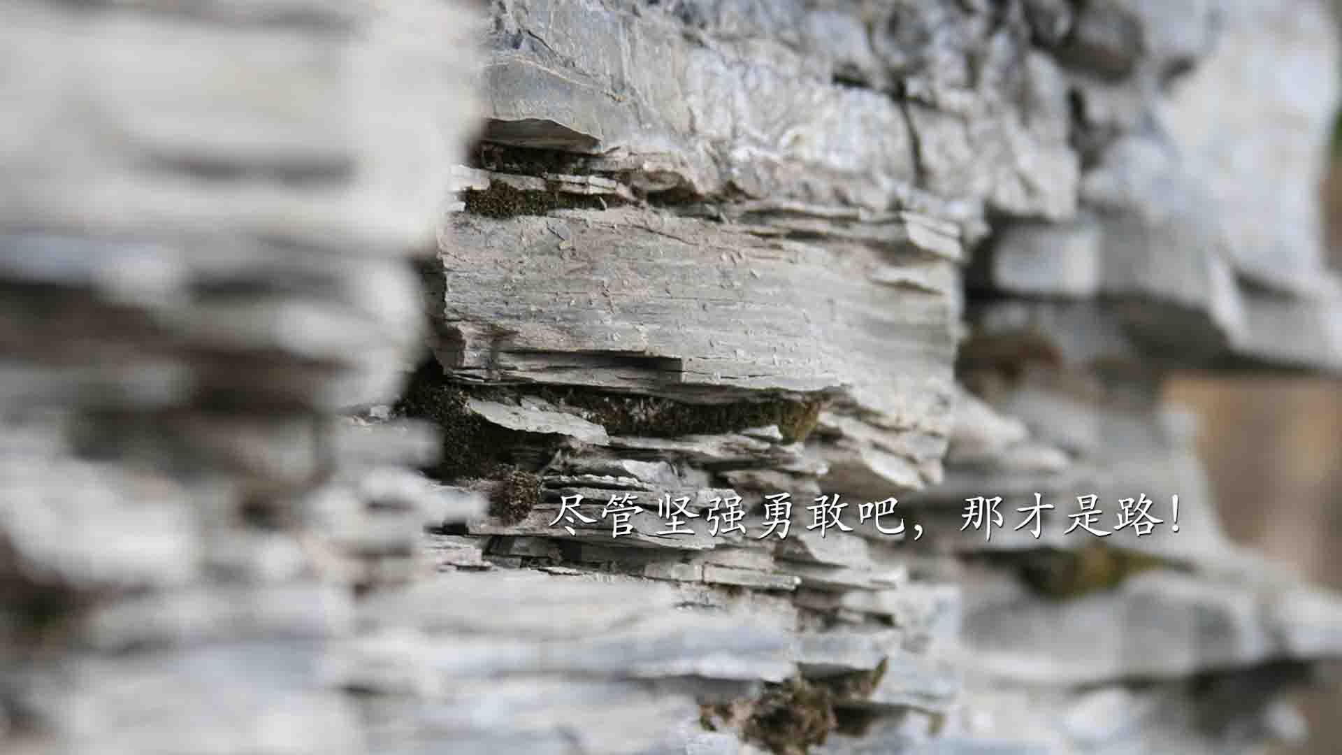 北欧风暴,2026世界杯B组强强对话,瑞典横扫阿联酋,阿诺德闪耀全场书写足球诗篇