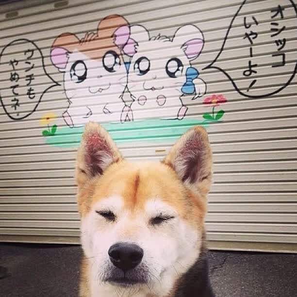 欧陆铁幕与北美枫火，关键先生贝林厄姆的伯尔尼奇迹
