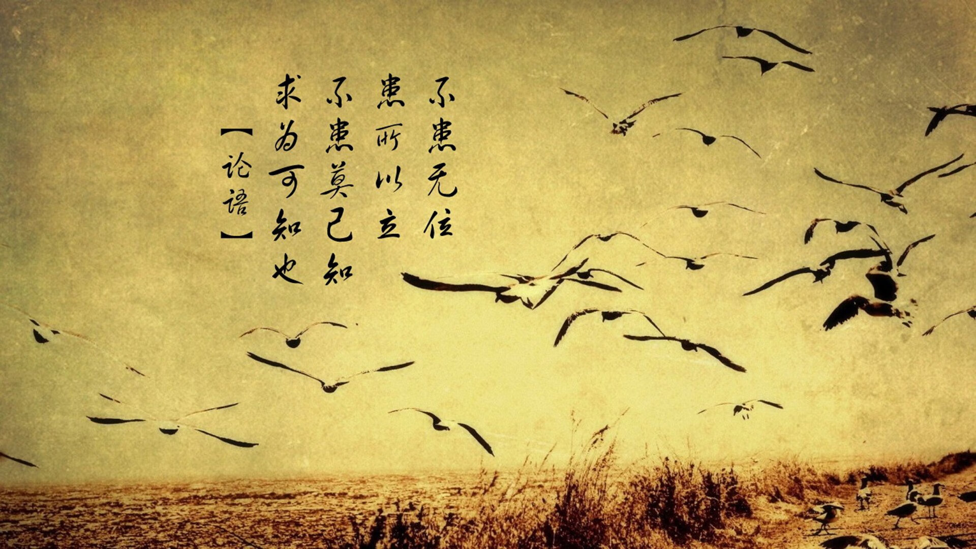 开云体育中国-哈维的遗产，一场教科书式的临场博弈，迪亚斯用致命一击为西班牙正名